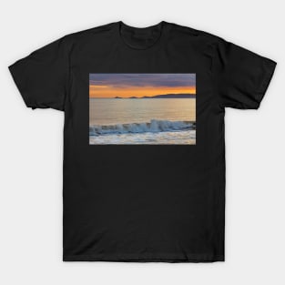 Swansea Bay T-Shirt